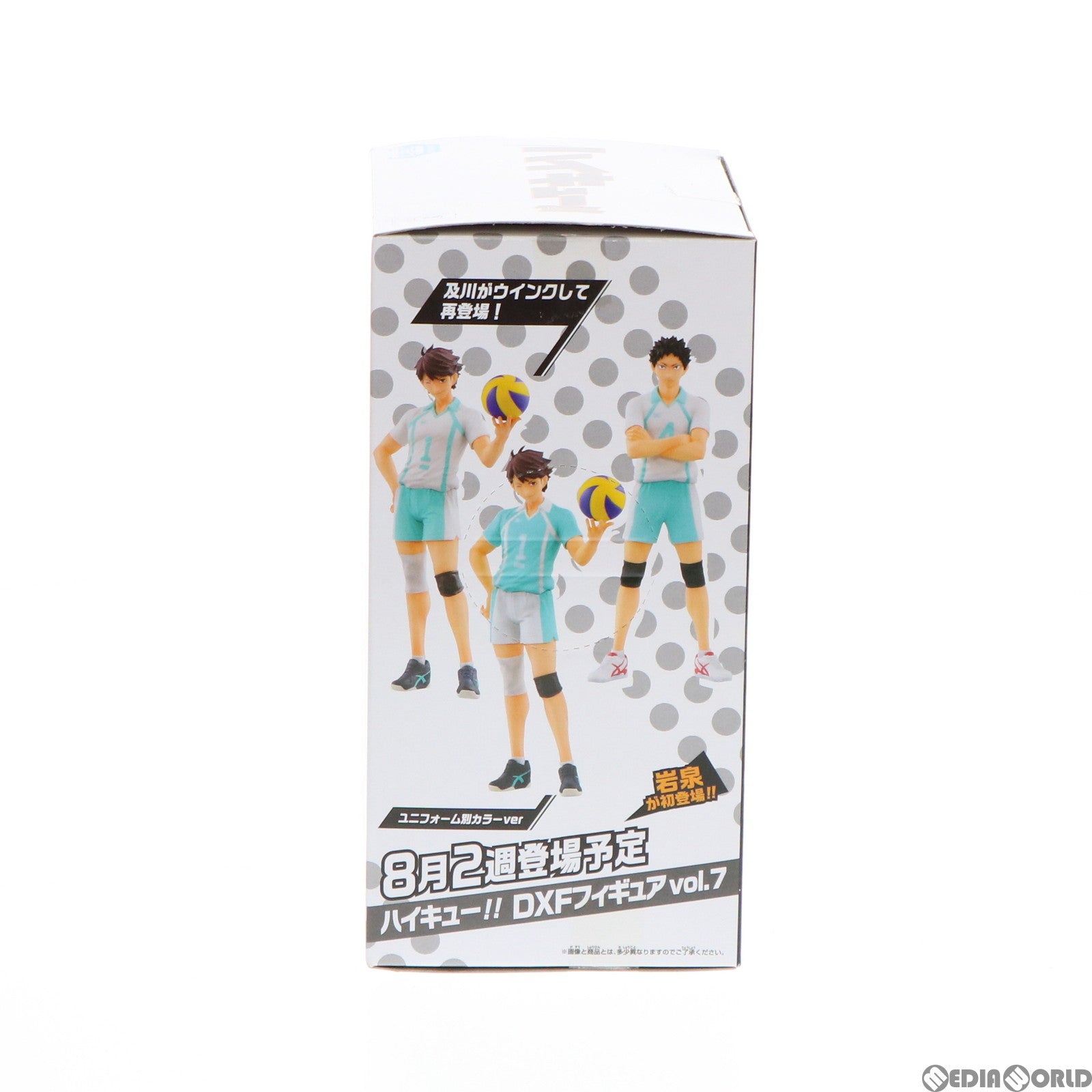 【中古即納】[FIG] 田中龍之介(たなかりゅうのすけ) ハイキュー!! DXFフィギュアvol.6 プライズ(49653) バンプレスト(20150604)
