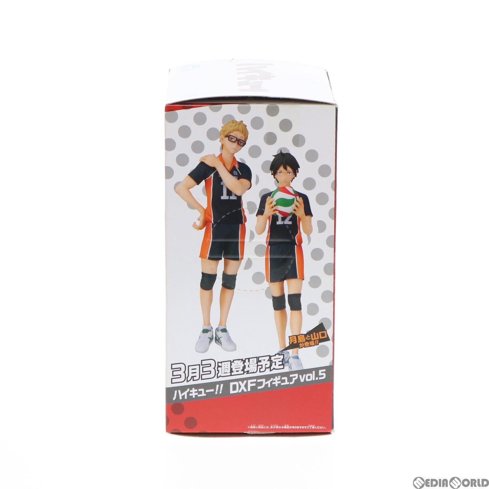 【中古即納】[FIG] 黒尾鉄朗(くろおてつろう) ハイキュー!! DXFフィギュアvol.4 プライズ(49257) バンプレスト(20141120)