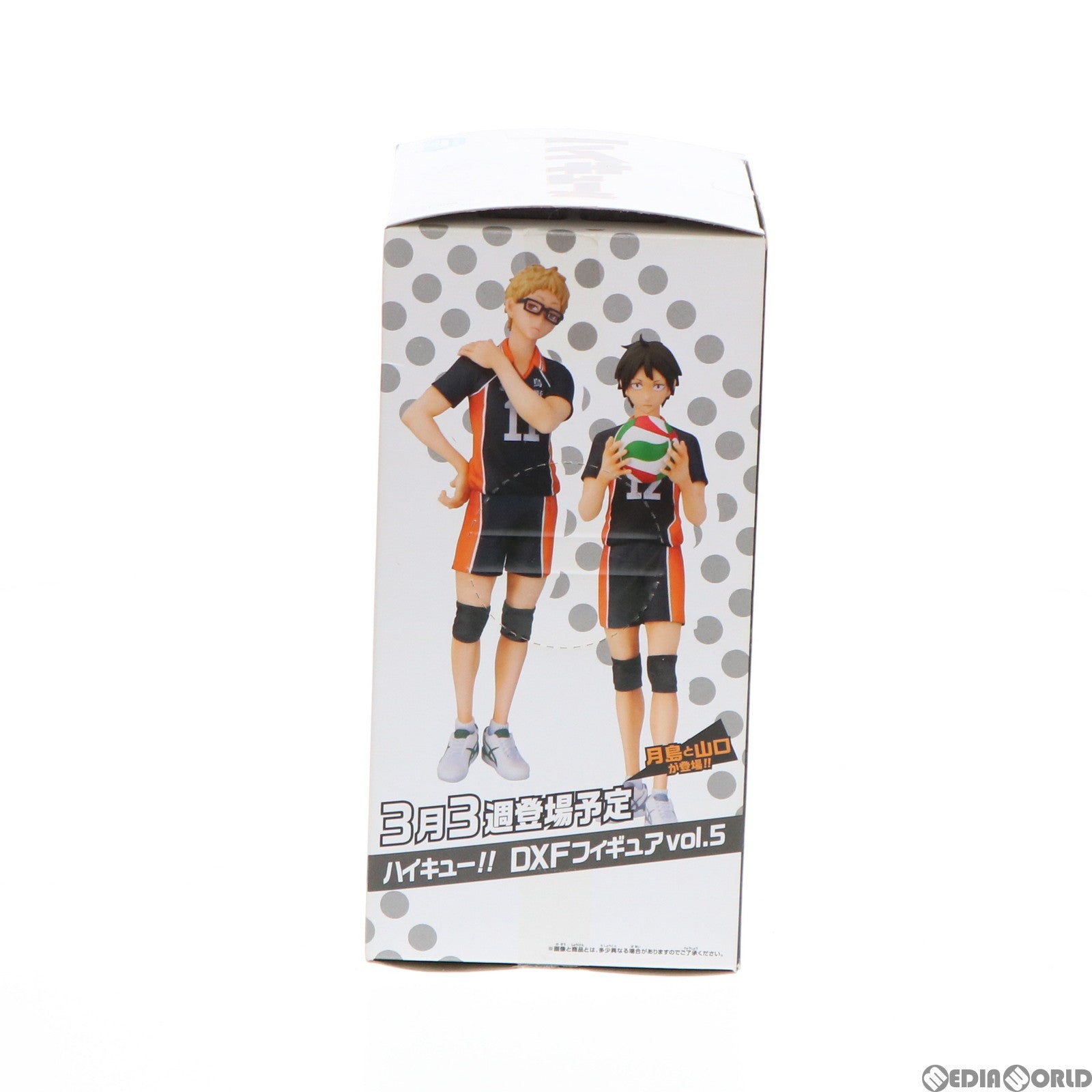 【中古即納】[FIG] 菅原孝支(すがわらこうし) ハイキュー!! DXFフィギュアvol.4 プライズ(49257) バンプレスト(20141120)
