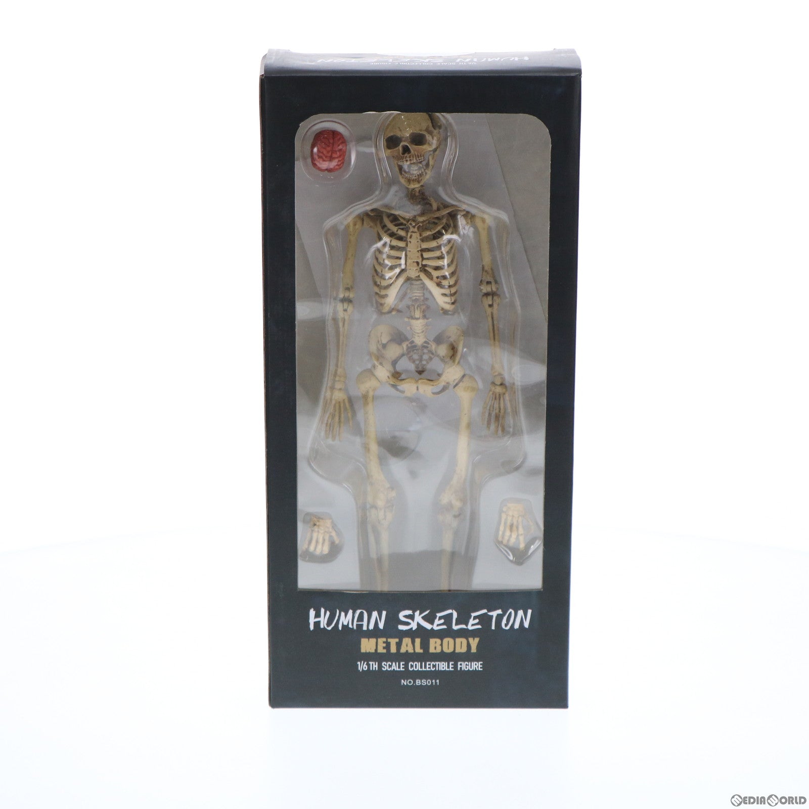 【中古即納】[FIG] ヒューマンスケルトンボディ 1/6 アクション 完成品 可動フィギュア(BS011) COOMODEL(クーモデル) (20190731)