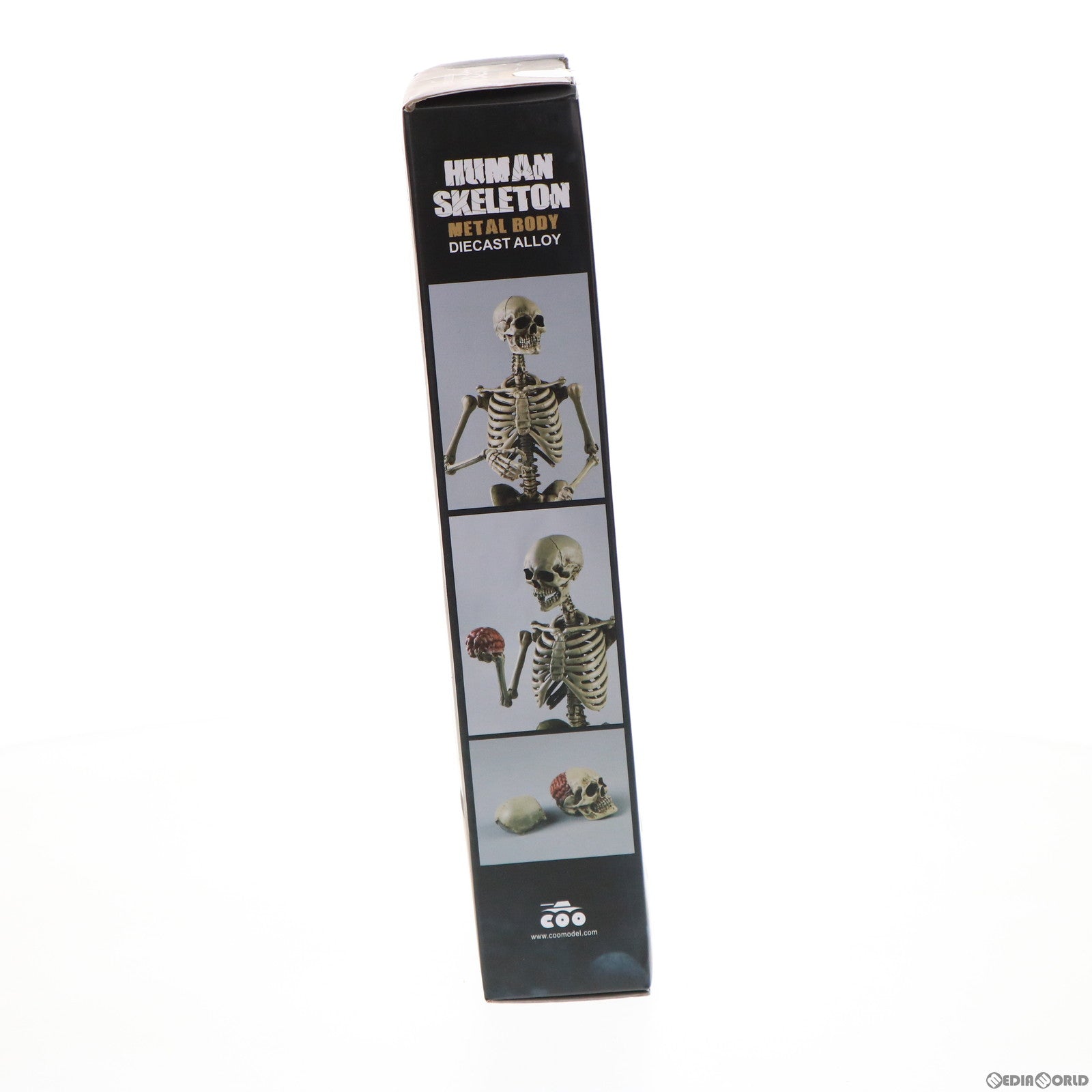 【中古即納】[FIG] ヒューマンスケルトンボディ 1/6 アクション 完成品 可動フィギュア(BS011) COOMODEL(クーモデル) (20190731)