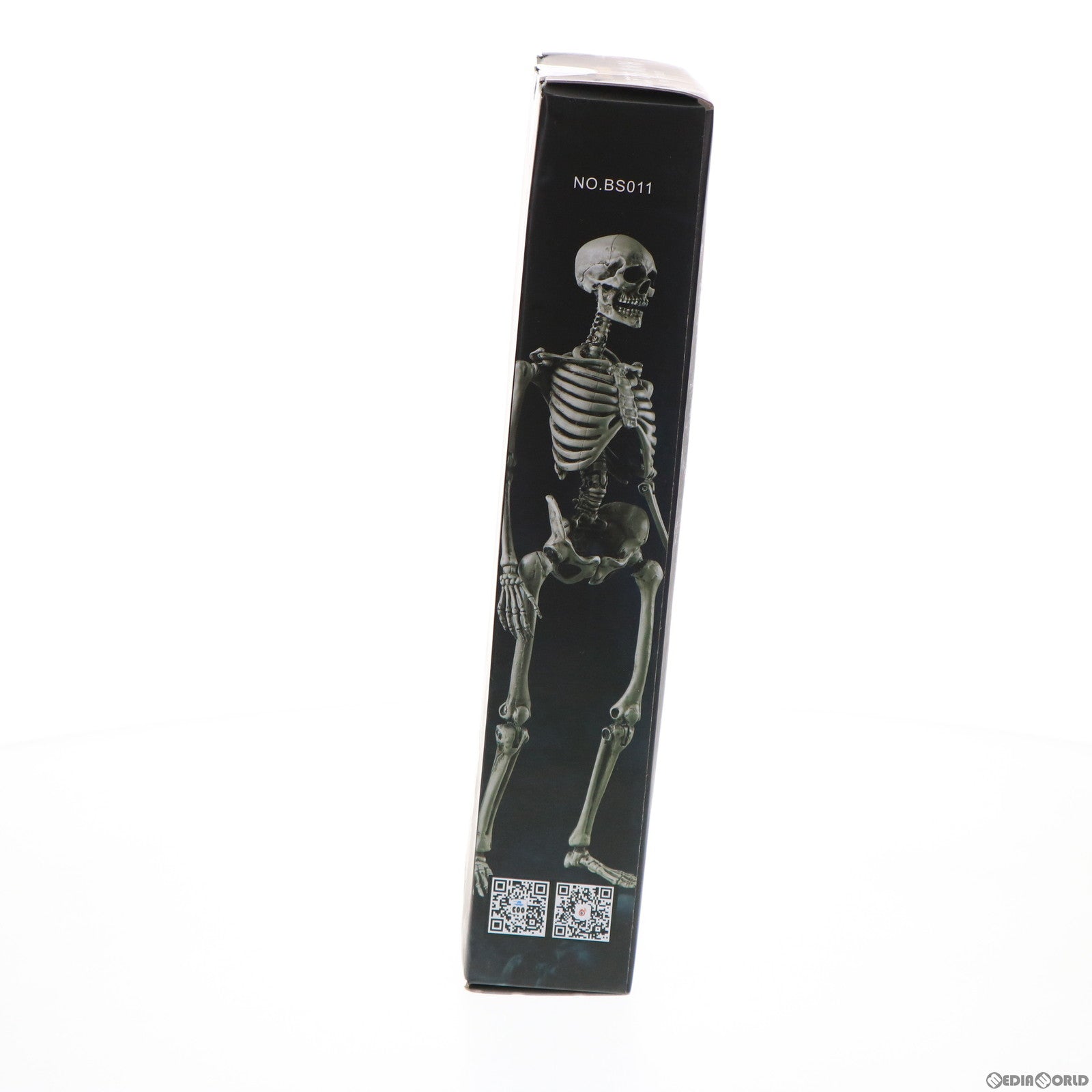 【中古即納】[FIG] ヒューマンスケルトンボディ 1/6 アクション 完成品 可動フィギュア(BS011) COOMODEL(クーモデル) (20190731)