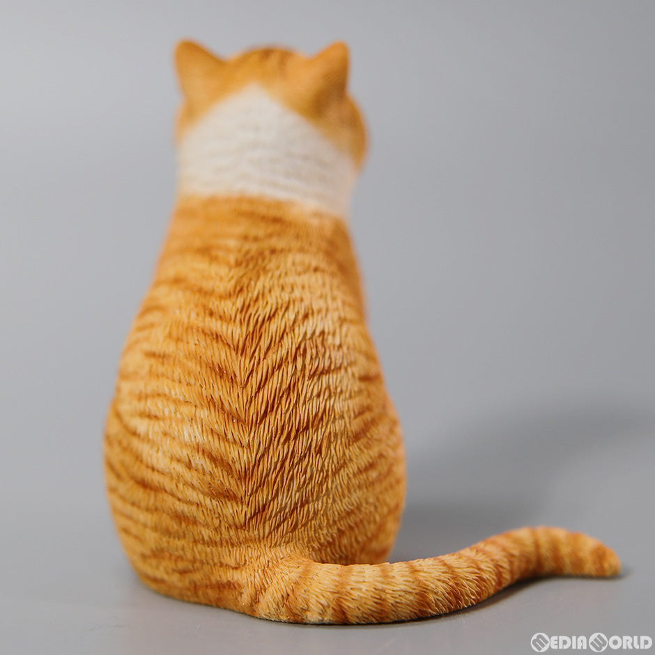 【新品即納】[FIG] プリンセス キャット D 1/6 完成品 フィギュア(JXK141D) JXKスタジオ(20230531)