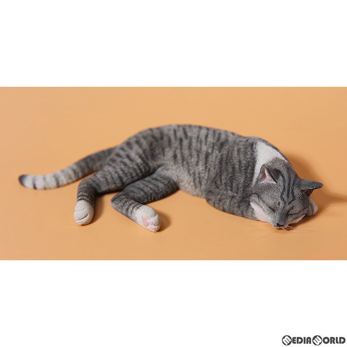 【新品即納】[FIG] 惰眠を貪る猫 4.0 A 1/6 完成品 フィギュア(JXK142A) JXKスタジオ(20230531)