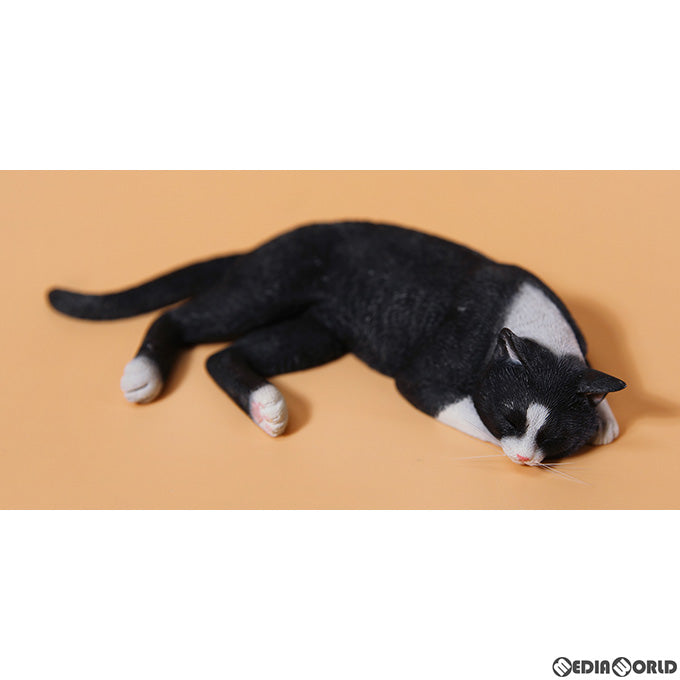 【新品即納】[FIG] 惰眠を貪る猫 4.0 C 1/6 完成品 フィギュア(JXK142C) JXKスタジオ(20230531)