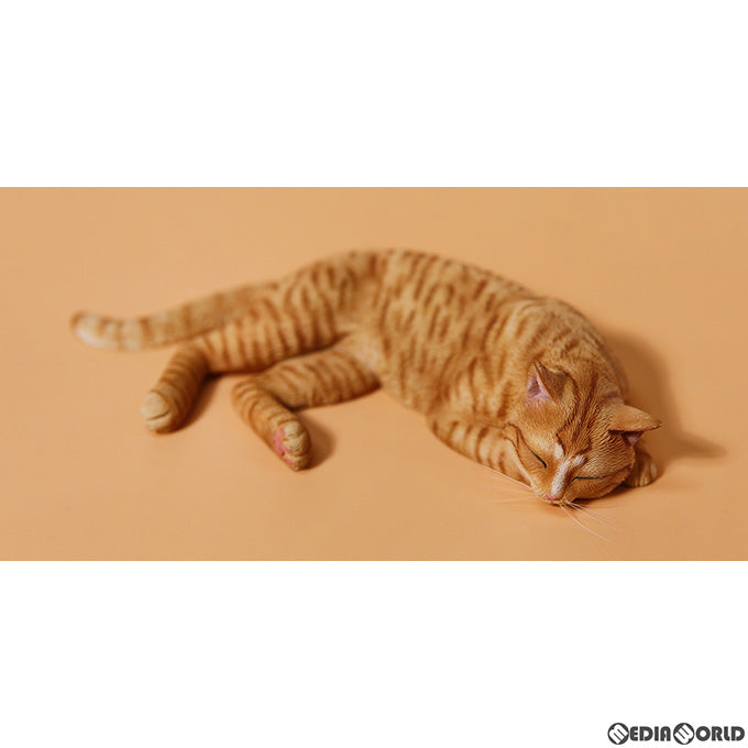 【新品即納】[FIG] 惰眠を貪る猫 4.0 D 1/6 完成品 フィギュア(JXK142D) JXKスタジオ(20230531)