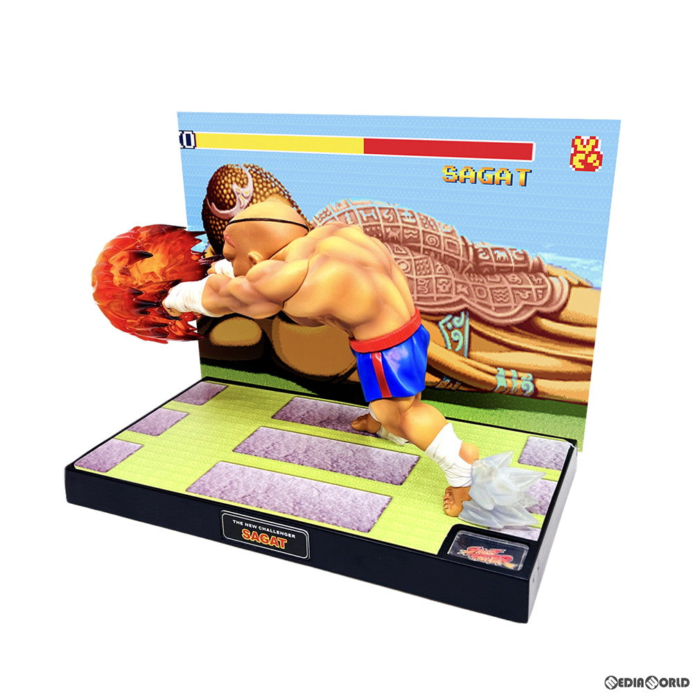 【新品即納】[FIG] T.N.C-10- サガット STREET FIGHTER II(ストリートファイターII) 完成品 フィギュア(AX-0284) Big Boys Toys(ビッグボーイズトイズ) (20230421)