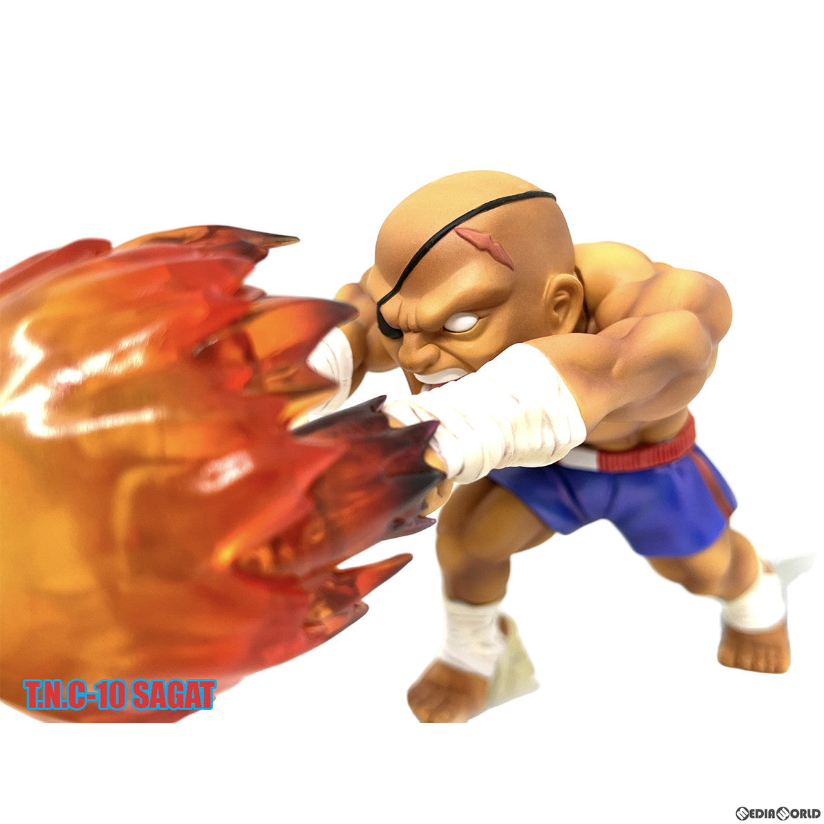 【新品即納】[FIG] T.N.C-10- サガット STREET FIGHTER II(ストリートファイターII) 完成品 フィギュア(AX-0284) Big Boys Toys(ビッグボーイズトイズ) (20230421)