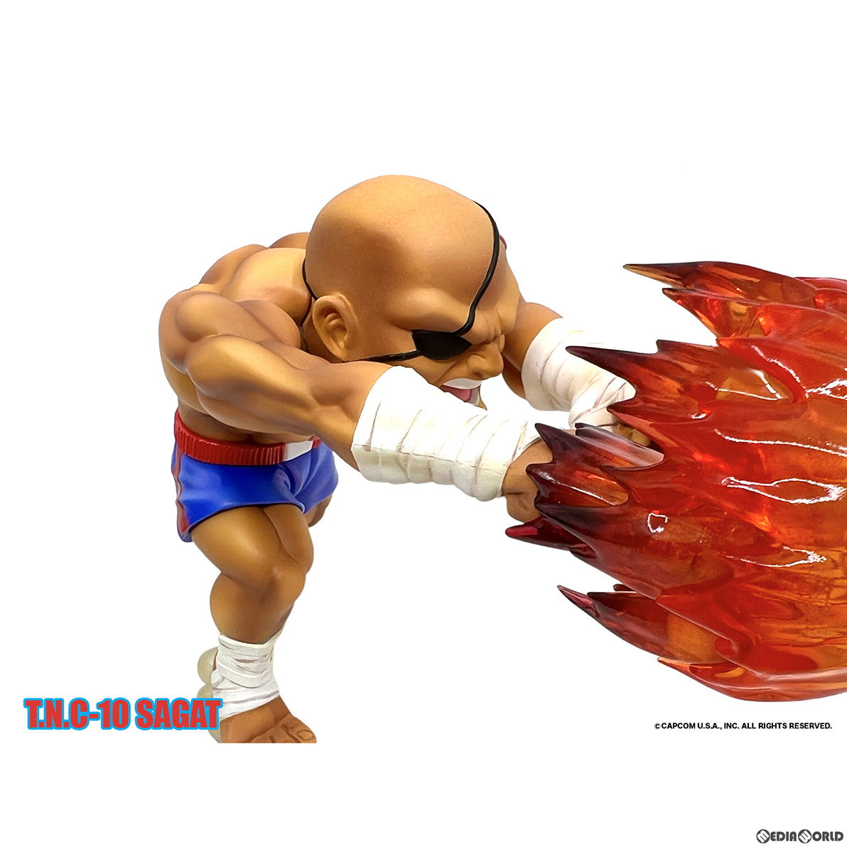 【新品即納】[FIG] T.N.C-10- サガット STREET FIGHTER II(ストリートファイターII) 完成品 フィギュア(AX-0284) Big Boys Toys(ビッグボーイズトイズ) (20230421)