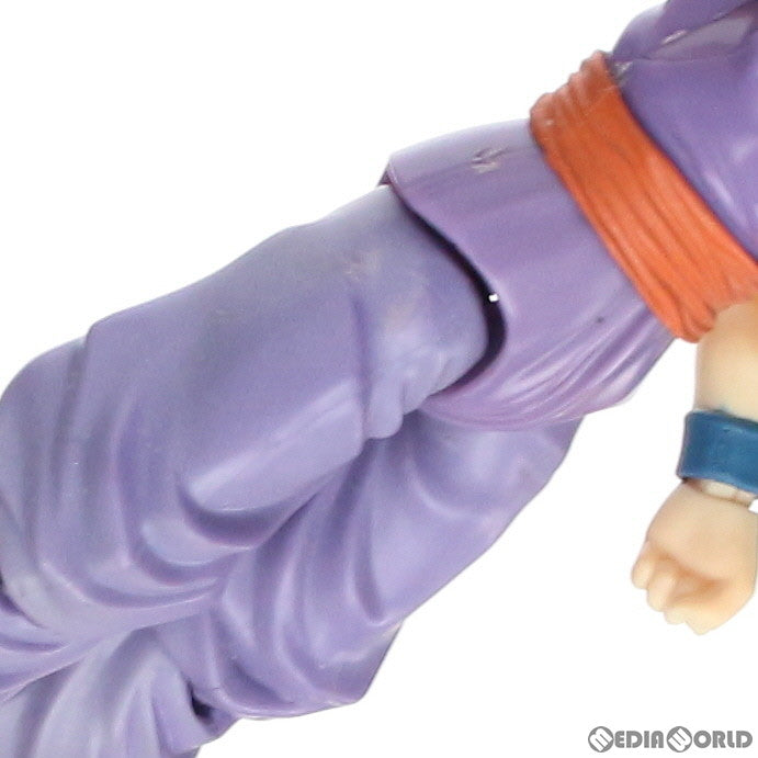 【中古即納】[FIG]S.H.Figuarts(フィギュアーツ) 孫悟飯 ドラゴンボールZ 完成品 可動フィギュア バンダイ(20100717)