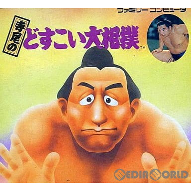 【中古即納】[FC]寺尾のどすこい大相撲 ジャレコ (19891124)